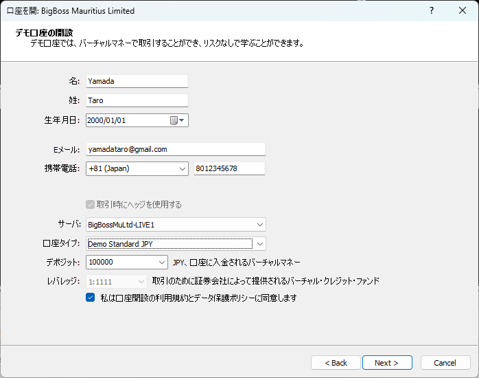 PC版MT5のデモ口座開設フォーム(口座タイプとレバレッジ)