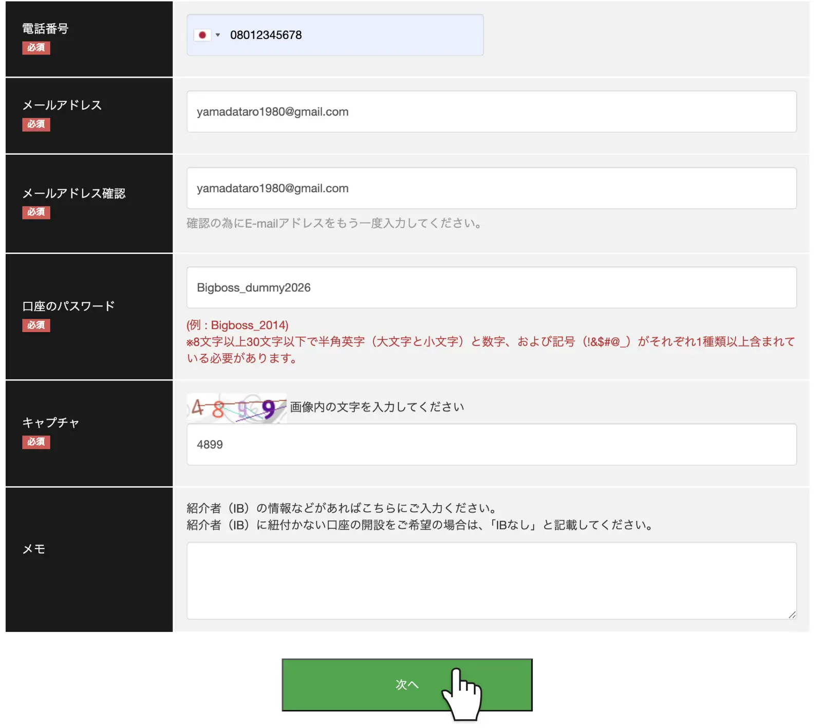 BigBoss通常口座開設のパスワードとキャプチャ入力