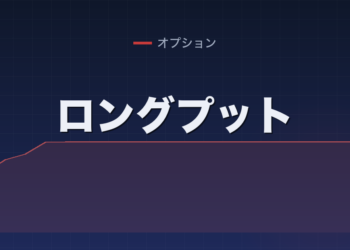 ロングプット