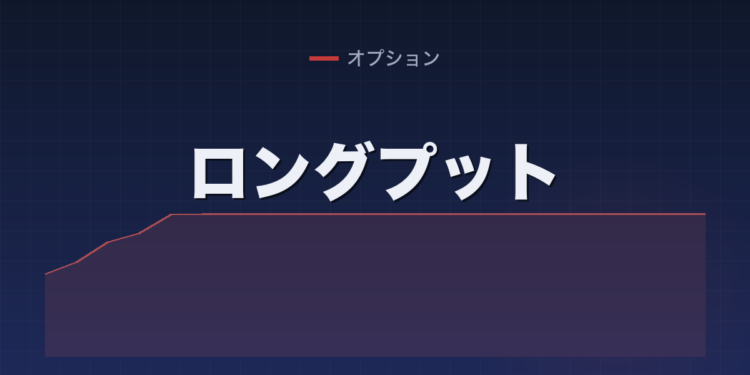 ロングプット